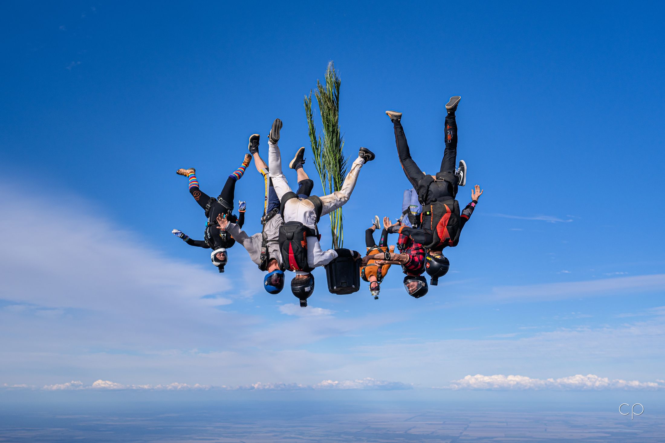 A head-down group flying a tree